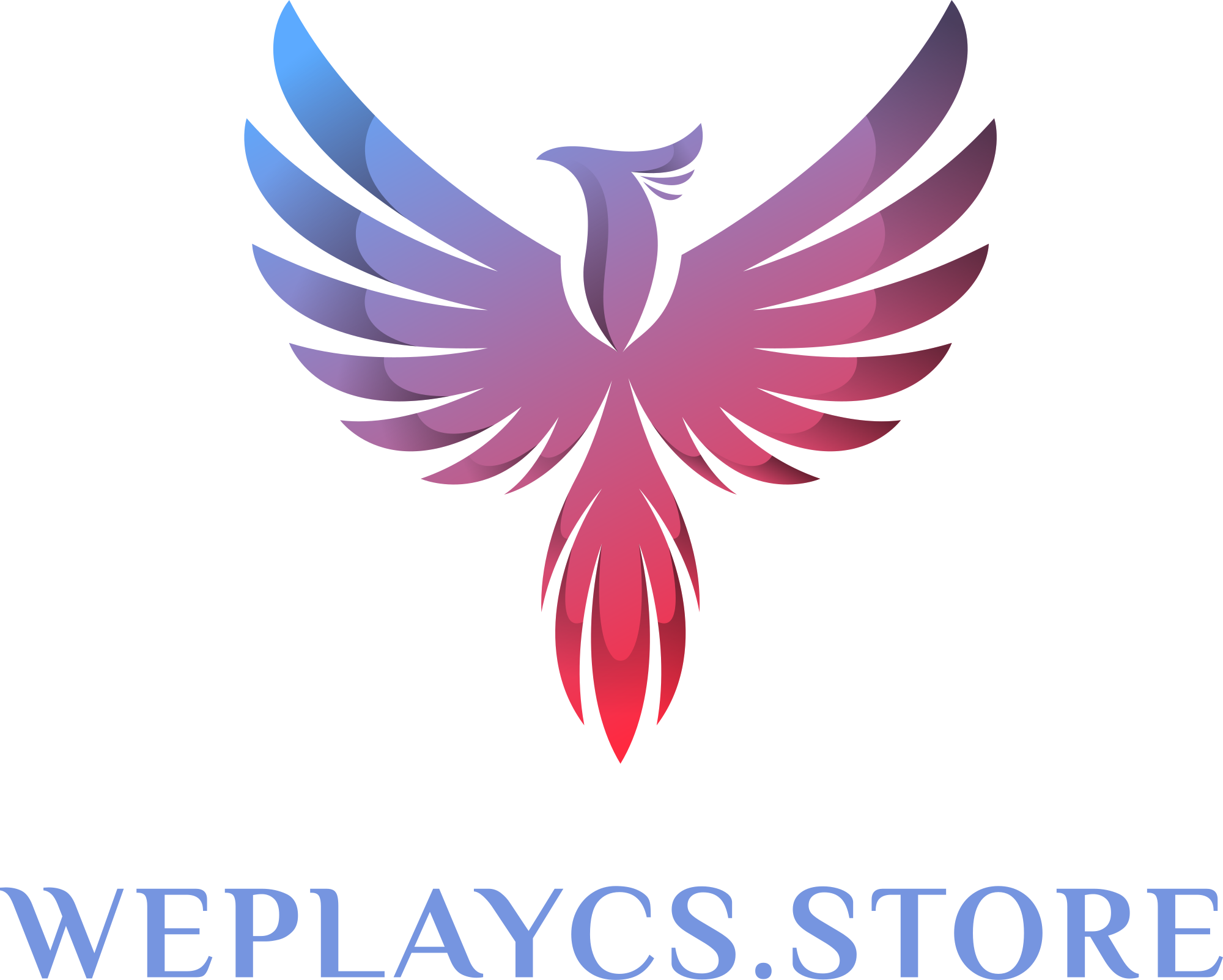 Weplaycs.Store